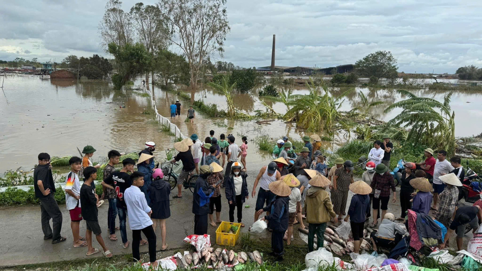 Sở Công thương Hải Dương tìm giải pháp tiêu thụ cá lồng 